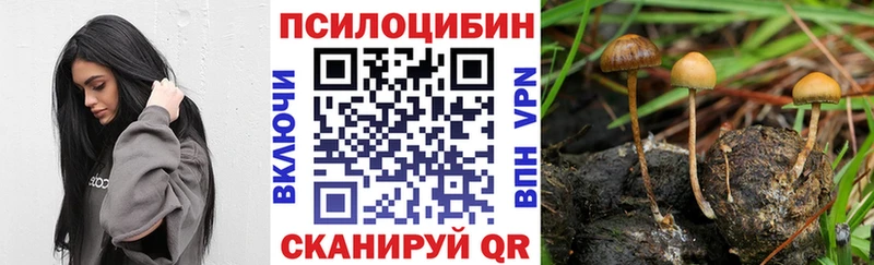 гидра зеркало  Макарьев  Псилоцибиновые грибы Psilocybine cubensis 